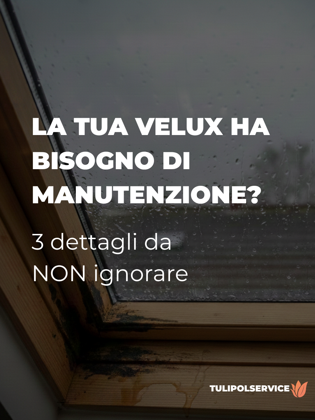 manutenzione straordinaria velux
